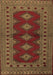 Persian Brown Traditional Rug, tr2476brn