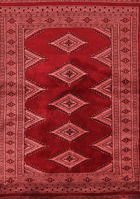 Southwestern Red Country Rug, tr2477red