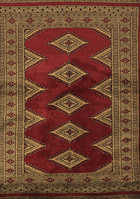 Southwestern Brown Country Rug, tr2477brn