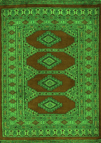 Southwestern Green Country Rug, tr2478grn