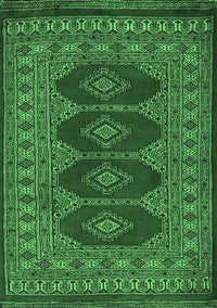 Southwestern Emerald Green Country Rug, tr2478emgrn