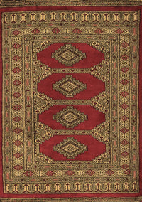 Southwestern Brown Country Rug, tr2478brn