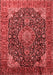 Medallion Red Traditional Area Rugs
