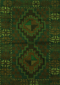 Persian Green Traditional Rug, tr2481grn