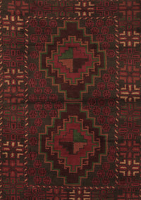 Persian Brown Traditional Rug, tr2481brn