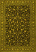 Persian Yellow Traditional Rug, tr2482yw