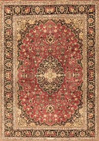 Medallion Brown Traditional Rug, tr2488brn