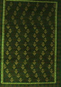 Southwestern Green Country Rug, tr2490grn