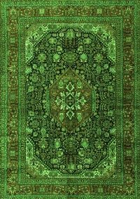 Medallion Green Traditional Rug, tr2491grn