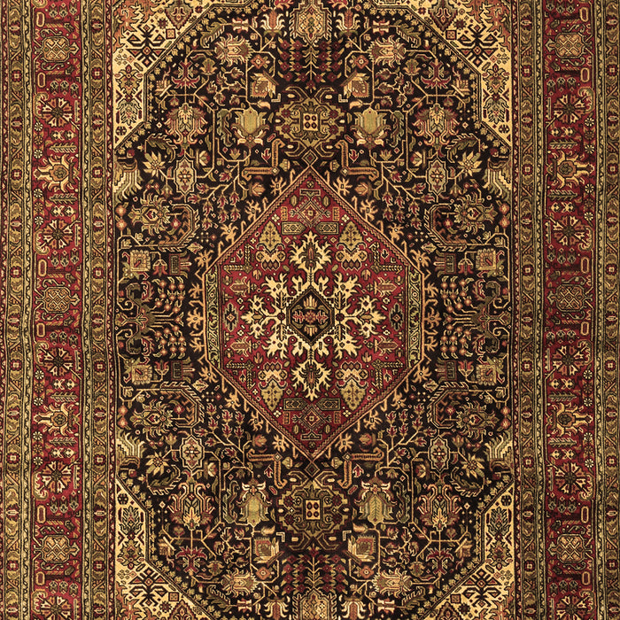 Medallion Brown Traditional Rug, tr2491brn
