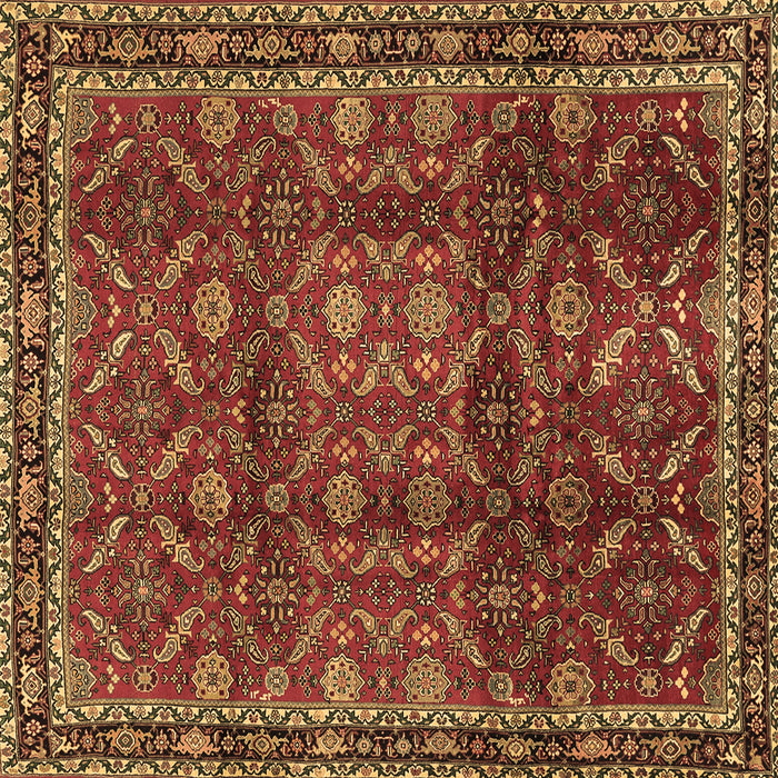 Square Machine Washable Persian Brown Traditional Rug, wshtr2492brn