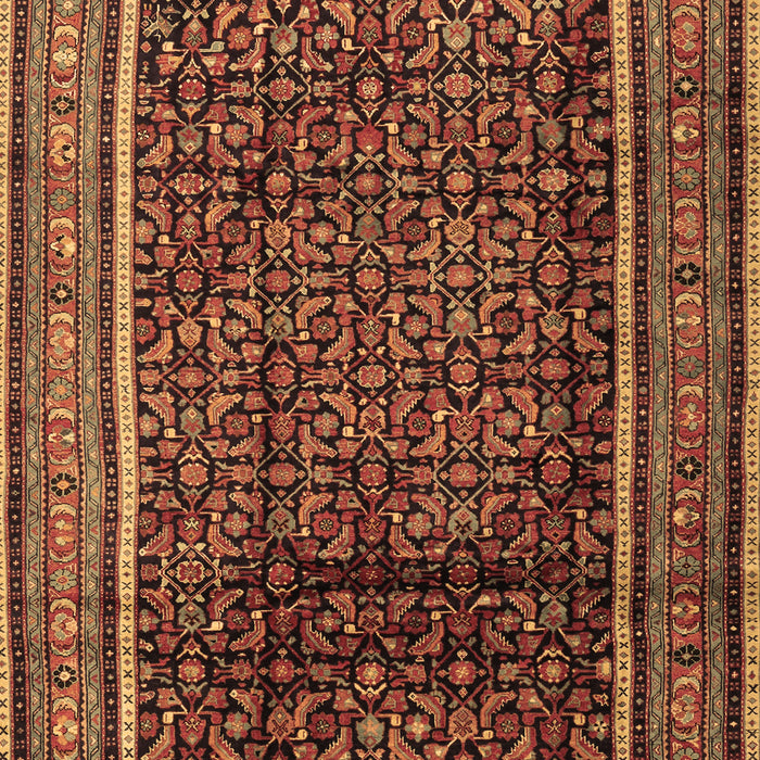 Persian Brown Traditional Rug, tr2493brn