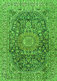 Medallion Green Traditional Rug, tr2494grn