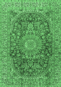 Medallion Emerald Green Traditional Rug, tr2494emgrn