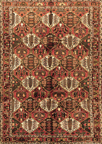 Persian Brown Traditional Rug, tr249brn