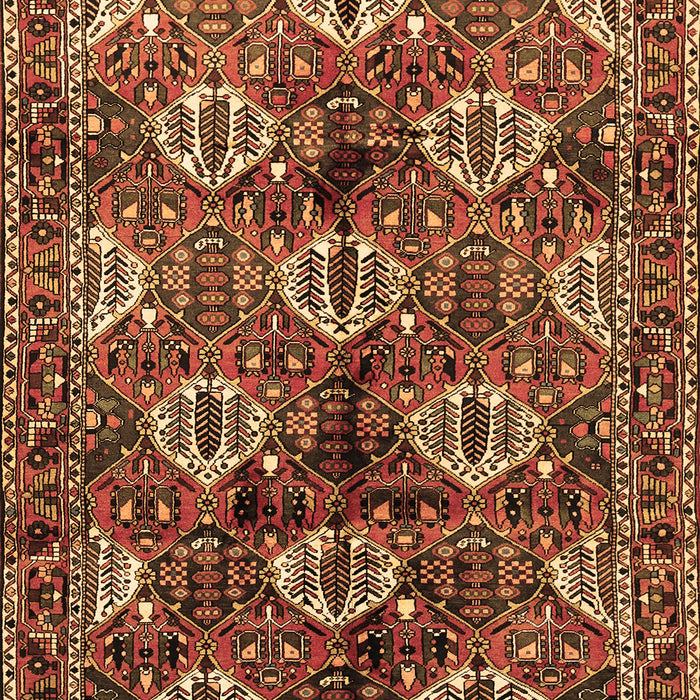 Persian Brown Traditional Rug, tr249brn