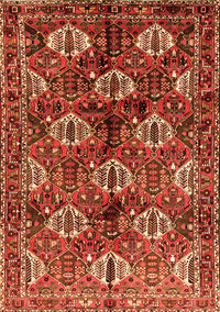 Persian Orange Traditional Rug, tr249org