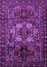 Persian Purple Traditional Rug, tr2500pur