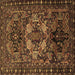 Square Machine Washable Persian Brown Traditional Rug, wshtr2500brn