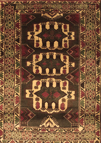 Persian Brown Traditional Rug, tr2506brn