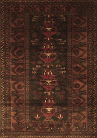 Persian Brown Traditional Rug, tr2520brn