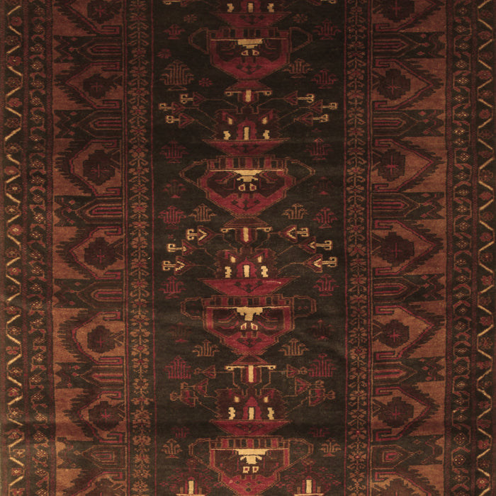 Machine Washable Persian Brown Traditional Rug, wshtr2520brn