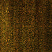 Square Persian Yellow Traditional Rug, tr2521yw