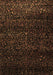Persian Brown Traditional Rug, tr2521brn