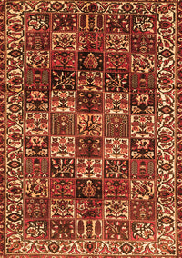 Persian Orange Traditional Rug, tr2523org