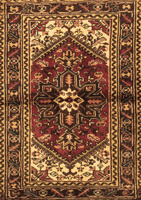 Persian Brown Traditional Rug, tr2526brn