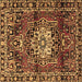 Square Machine Washable Persian Brown Traditional Rug, wshtr2530brn