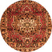 Square Persian Orange Traditional Rug, tr2530org