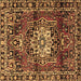 Square Persian Brown Traditional Rug, tr2530brn