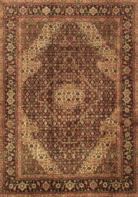 Persian Brown Traditional Rug, tr2531brn