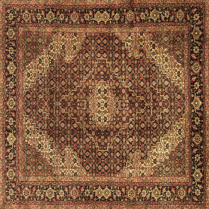 Square Persian Brown Traditional Rug, tr2531brn