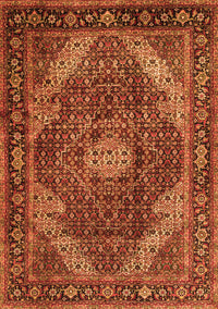 Persian Orange Traditional Rug, tr2531org