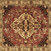 Square Persian Brown Traditional Rug, tr2534brn