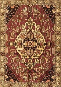 Persian Brown Traditional Rug, tr2534brn