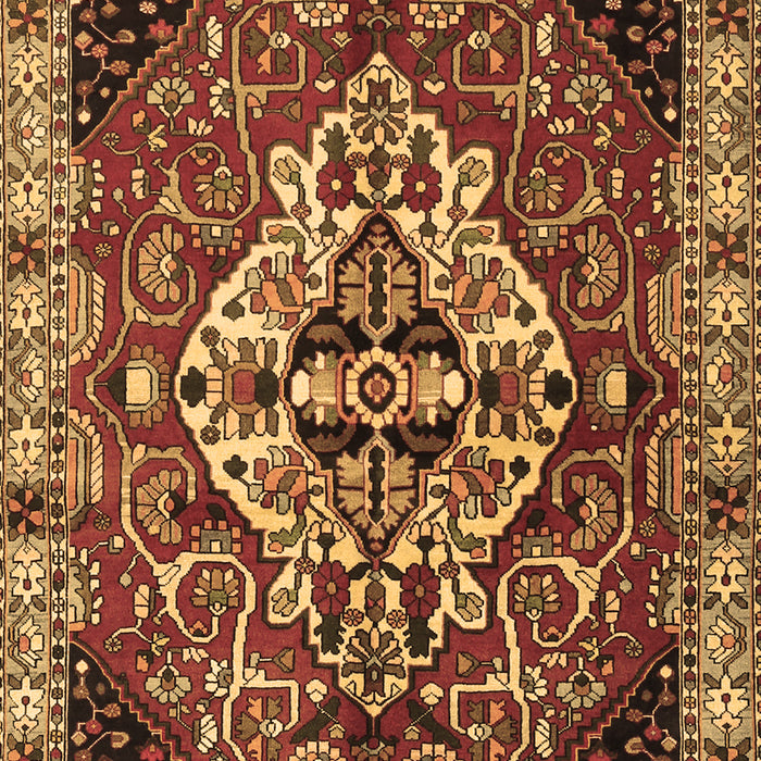 Persian Brown Traditional Rug, tr2534brn