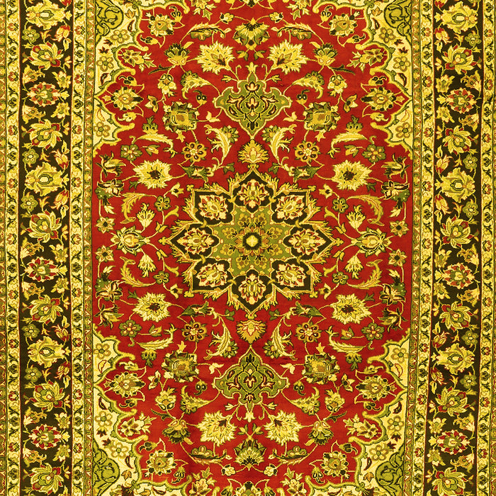 Medallion Yellow Traditional Rug, tr2535yw