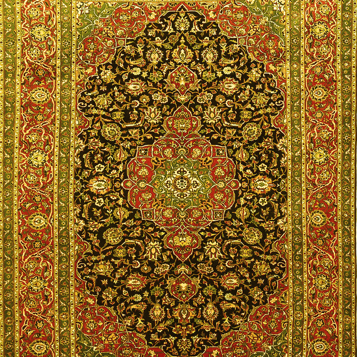 Medallion Yellow Traditional Rug, tr253yw
