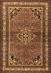 Persian Brown Traditional Rug, tr2540brn