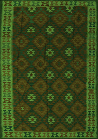 Southwestern Green Country Rug, tr2545grn