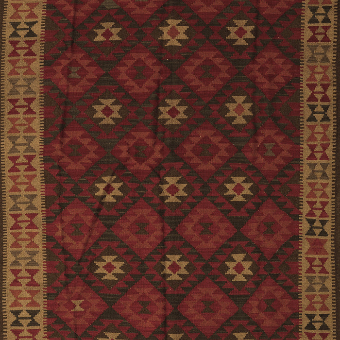 Machine Washable Southwestern Brown Country Rug, wshtr2545brn