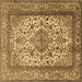 Square Medallion Brown Traditional Rug, tr2548brn