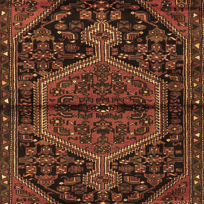 Medallion Brown Traditional Rug, tr2549brn