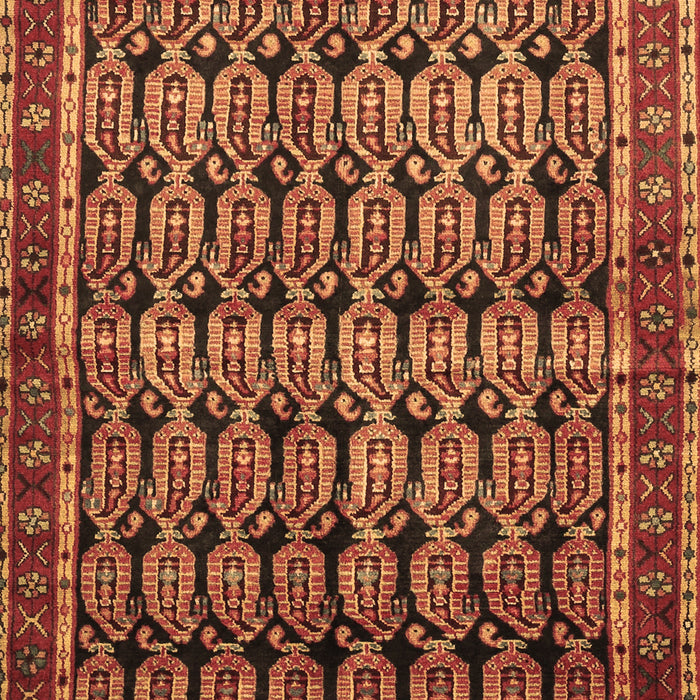 Machine Washable Persian Brown Traditional Rug, wshtr254brn