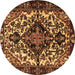 Round Machine Washable Persian Brown Traditional Rug, wshtr2550brn