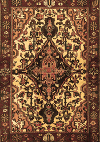 Persian Brown Traditional Rug, tr2550brn