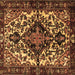 Square Machine Washable Persian Brown Traditional Rug, wshtr2550brn